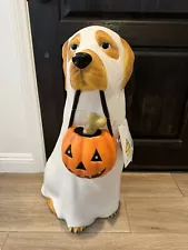 Golden Retriever Halloween Dog Blow Mold Ghost LED Lit 2024 Home Depot 2.5 Ft