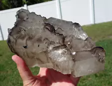 XL Smoky Elestial Alligator Quartz Jacare Crystal Point Brazil Smokey For Sale