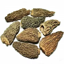 Dried Morel Mushrooms 1oz