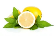 1 Pack 50 Lemon Seeds Lemon Tree Seed Citrus limon Heirloom Organic