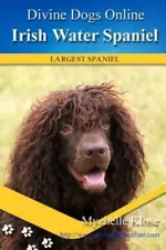 american water spaniel for sale