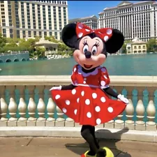 Minnie Mouse Adult Costume