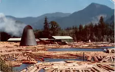 Northwest Sawmill, Log Pond, L. L. Perkins, Western Color Sales, Postcard