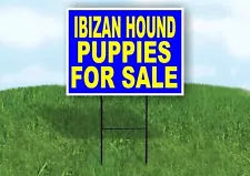 hound puppies for sale