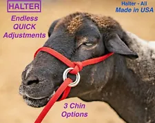 Halter All EXTRA SMALL Sheep, Goat, Sm Calf, Endless Adjustable Breaking USA