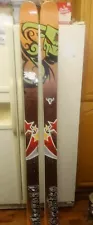 2014 Blizzard Cochise 193cm Skis All Mountain Multicolor Rare $799