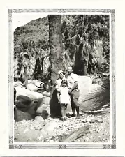 4 Vintage Old 1930 Desert Landscape Photos of Palm Canyon Palm Springs Trees ðµ