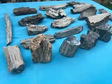 Texas Petrified Fossil Wood Lot Flat Base Freestanding Pieces For Art Projects