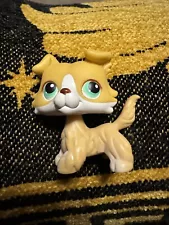 AUTHENTIC 2005 Littlest Pet Shop 272 Tubes Collie Great Condition!