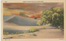 Desert Dunes & Palo Verde Trees