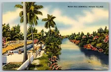 Miami Florida Musa Isle Seminole Indian Village Vintage Postcard