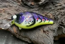 Custom painted 2.5 square bill crankbait (CRAW)