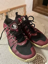 Florida State Seminoles Flywire Garnet Lunarlon Nike Shoes Men 11 FSU Noles