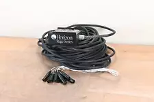 Horizon Stage Series 9-Channel XLR Snake - 125 ft CG0073S