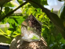 Lodolite Garden Quartz Point Tower Stone Specimen Quartz Crystal Healing