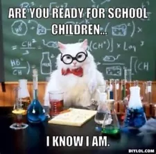 SALE Are you ready for School Children? I know I am Cat Teacher Classroom MAGNET