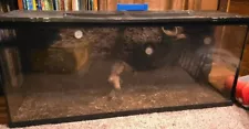 Custom Reptile terrarium tank