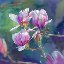 original painting 30 x 30 cm 148PV artwork Watercolor pink magnolia flowers