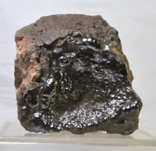 #2760 Hematite "Kidney Ore" - Morocco