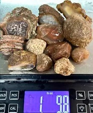 Mix-n-Match Agates: Condor, Calandra, Timor, Australian River Agate +