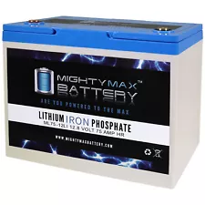 Mighty Max 12V 75AH Lithium Battery Replacement for Palmer Industries Twosome