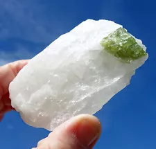 GREEN Tourmaline in Natural Clear Quartz Crystal Origin Brazil For Sale WT6