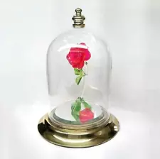 Rose Glass Dome Beauty And The Beast Disney World Resort Shipping Included from