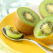 Organic Fruit 200 Kiwi Fruit Seeds Actinidia sinensis Kiwi Berry