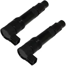 2 Ignition Coils For Kawasaki Versys 650 KLE650 2007 2008 2009 2010 2011-2014 (For: 2008 Kawasaki Versys 650)