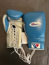 winning boxing gloves