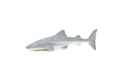 Whale Shark, Curved, Very Nice Plastic Replica 3" ~ F0007-B23