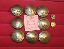 These 8 Genuine Authentic Old Buffalo Nickels -Screw Back Conchos Domed Coins!