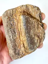 19.87 OUNCES FINE GOLD ORE CALIFORNIA LOS ANGELES RAW SPECIMEN 563.51 GRAMS