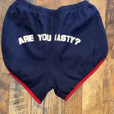 Panic At The Disco Are You Nasty Booty Shorts American Apparel. XL