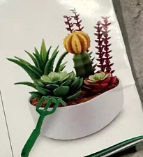 ZURU Mini Brands CREATE GARDEN Succulent Garden Dish Plants