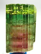 MESMERIZING GLOWING GEM WATERMELON TOURMALINE CRYSTAL!!! ARICANGA MINE BRAZIL