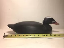 sea scoter skunk head duck decoy vintage