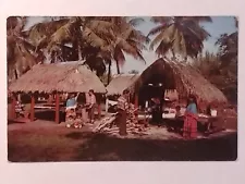 Seminole Indian Village At Musa Isle Miami Florida Postcard