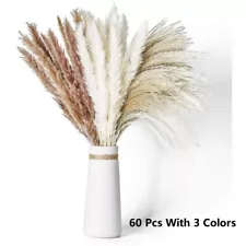 Dried Natural Pampas Grass, 60 Pcs with 3 Colors Bunch Bouquets Home Decor