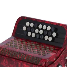 Professional 22 Key Accordian For Beginners With Storage Bag BBT