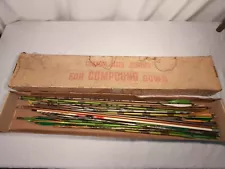 New Listing(20) LOT COMPOUND BOW ARROWS EASTON MOSSY OAK AAE X-CALIPER AUTUMN HUNTER