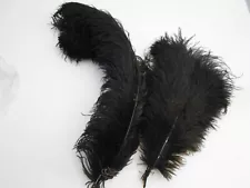 2 Black Ostrich Feathers for Fly Tying NEW