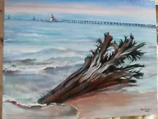 Original Seascape Fallen Tree Driftwood - Silver Beach Lake Michigan 11x14