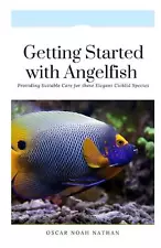 Getting Started with Angelfish - Providing Suitable Care for these Elegant Cichl