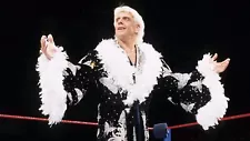 40 Pro Wrestling DVDs: The Best of RIC FLAIR!