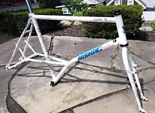 1990 Nishiki Alien Elevated Chainstay Vintage Frameset 20.5" Richard Cunningham