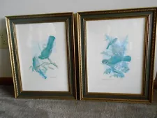 VINTAGE CAPE CRAFTSMEN pair of framed bird pictures detail lovely frames SALE!!