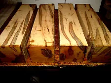 TWO (2) AMBROSIA MAPLE TURNING LUMBER LATHE WOOD 4" X 4" X 11"