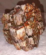 opalized petrified wood for sale