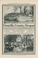 1908 Umatilla County Oregon Land Sale Ad Peach Fruit Orchards Farm Farming OR